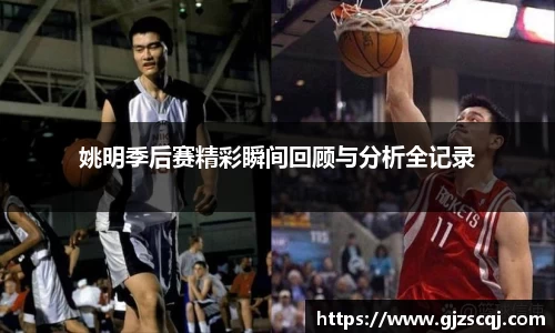 姚明季后赛精彩瞬间回顾与分析全记录