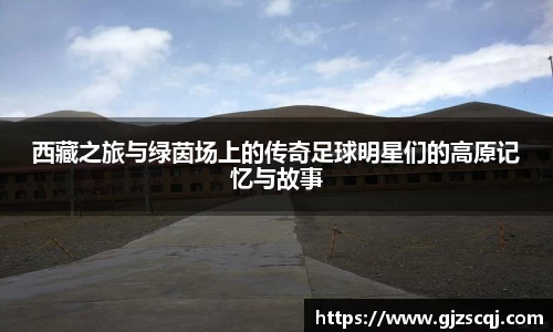 西藏之旅与绿茵场上的传奇足球明星们的高原记忆与故事